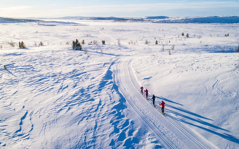 Vaset Gomobu Vinter Skiloyper